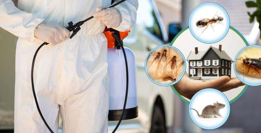 Üçyol Böcek İlaçlama