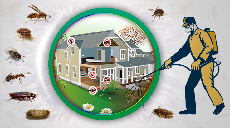 Üçyol Böcek İlaçlama