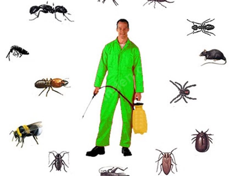 Üçyol Böcek İlaçlama